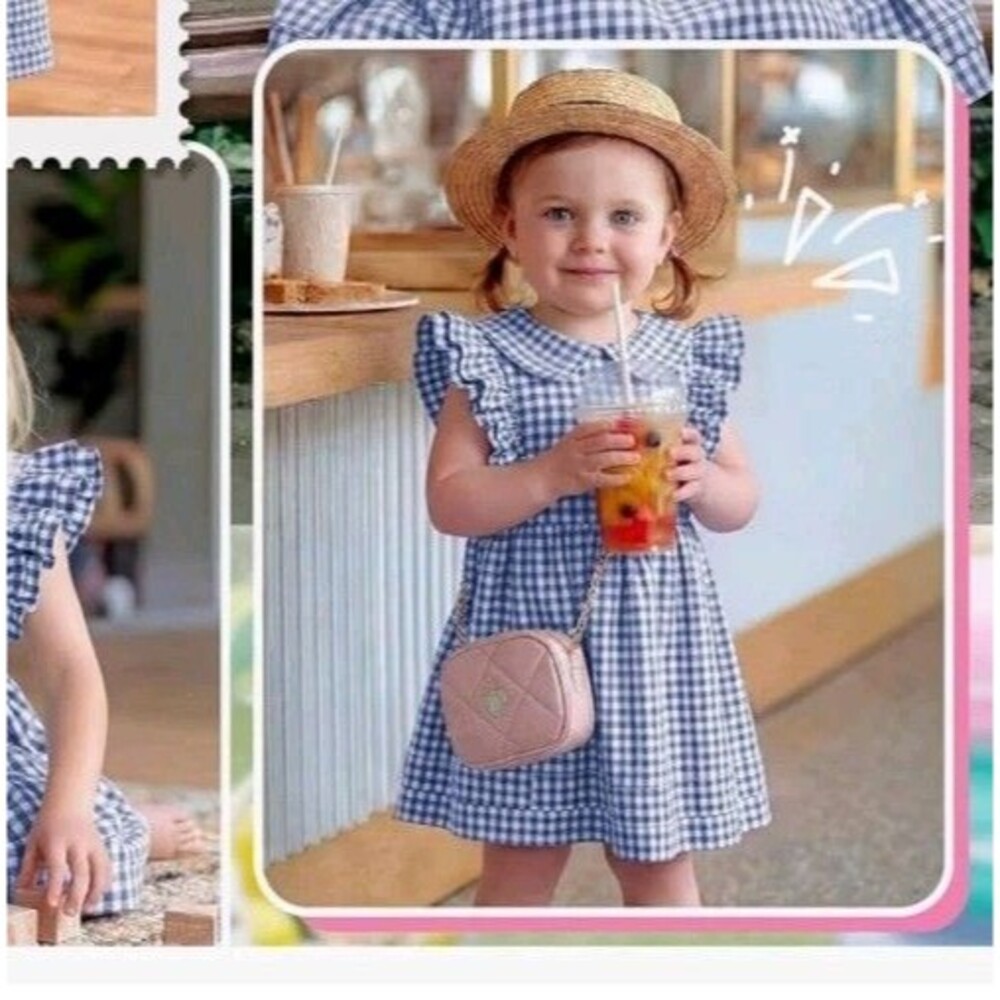 Girls Gingham Dress Ruffle Sleeves Zip Up Back Toddler Dresses 18-24 Months